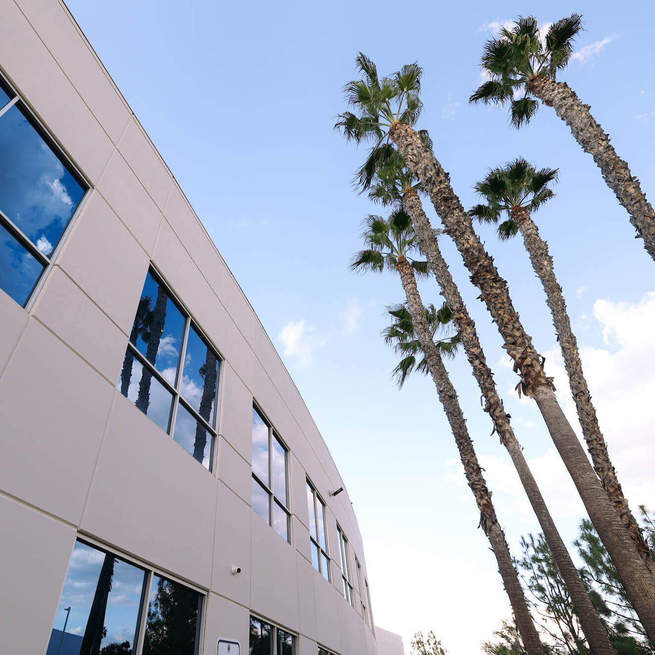delphi-strategy-vision-california Delphi Strategy & Vision